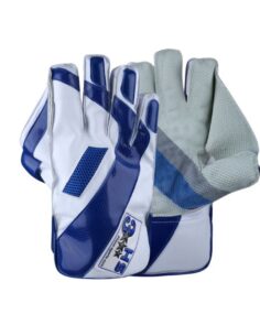 HS 3 Star Wicket keeping Gloves