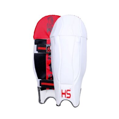 HS 5 Star Wicket Keeping Pads