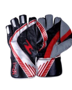 HS 5 Star Wicket keeping Gloves