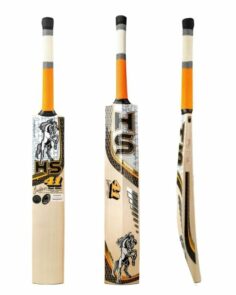 HS 41 Cricket Bat