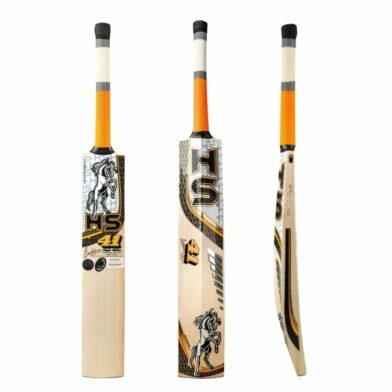 HS 41 Cricket Bat