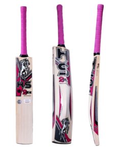 HS 2 Star Cricket Bat