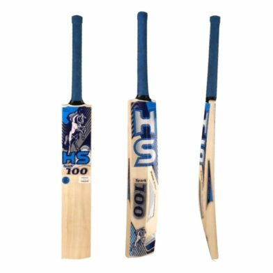 HS Spark 100 Cricket Bat