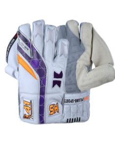 HS 41 Wicket Keeping Gloves