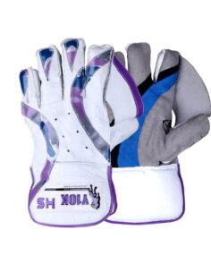 HS Y10K Wicket Keeping Gloves