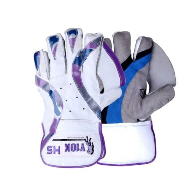 HS Y10K Wicket Keeping Gloves