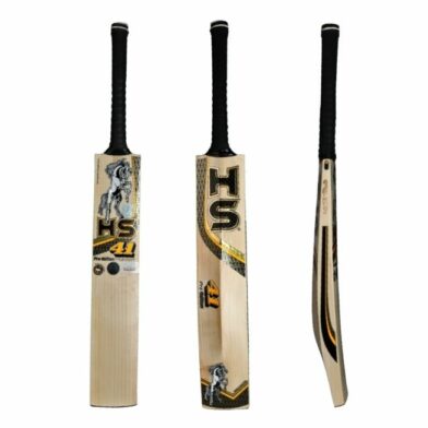 HS 41 Pro Edition Cricket Bat