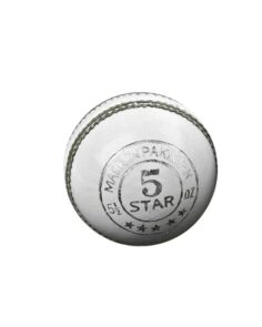 HS 5 Star Cricket Ball (White)