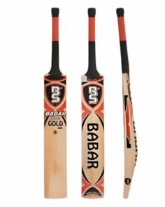 BS Gold 666 Cricket bat