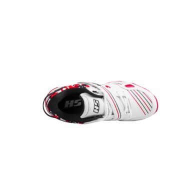 HS 41 Cricket Shoes (Red)