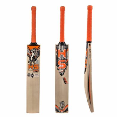 HS 96 Cricket Bat