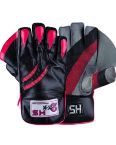 HS 2 Star Wicket keeping Gloves